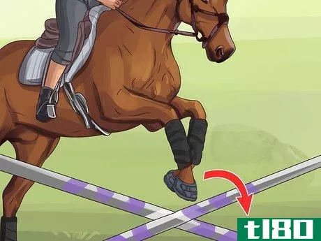 Image titled Know if Your Horse Needs Shoes Step 12