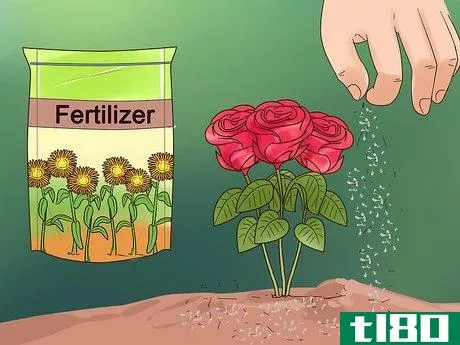 Image titled Grow Flowers from Seed Step 16