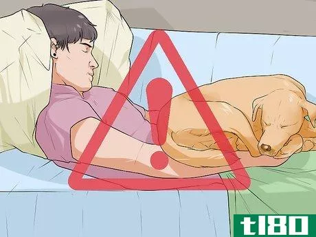 Image titled Handle Sleep Aggression in Senior Dogs Step 9