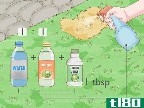 Image titled Get Rid of Urine Smell Outside Step 3