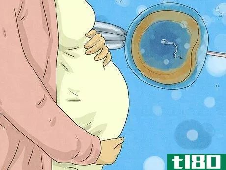 Image titled Have a Baby Boy Step 14