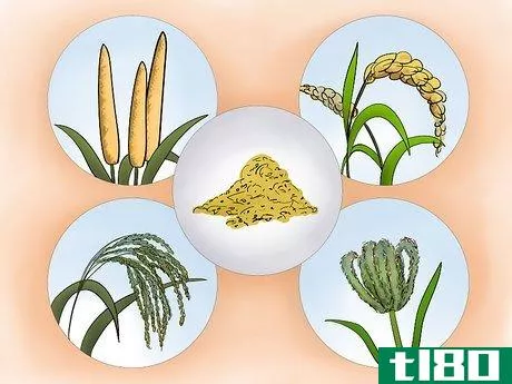 Image titled Grow Millet Step 11