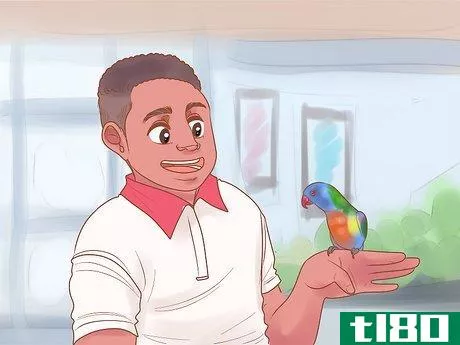 Image titled Know if Lories and Lorikeets Are Right for You Step 1