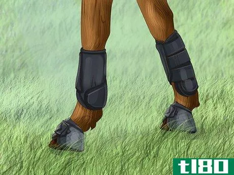 Image titled Know if Your Horse Needs Shoes Step 15