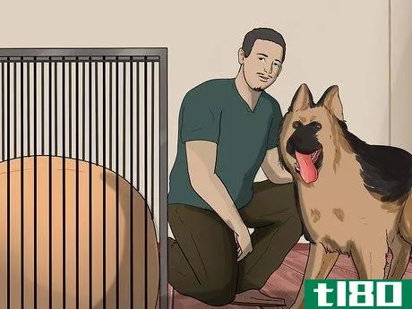 Image titled Introduce a New Dog to Your House and Other Dogs Step 16