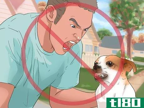 Image titled Groom a Dog That Bites Step 4