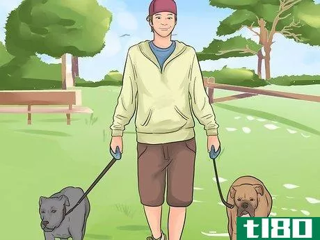 Image titled Introduce a New Dog to Your House and Other Dogs Step 33