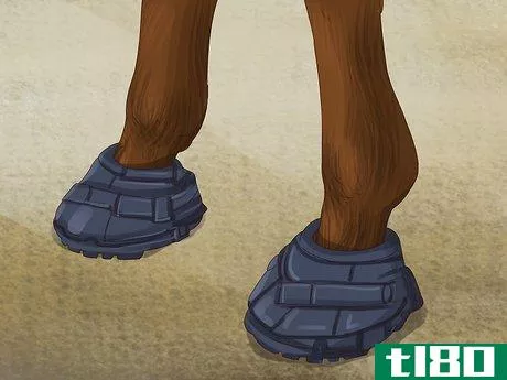 Image titled Know if Your Horse Needs Shoes Step 14