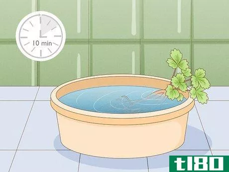 Image titled Grow Hydroponic Strawberries Step 14