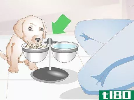 Image titled Get to Know Your Puppy Step 2