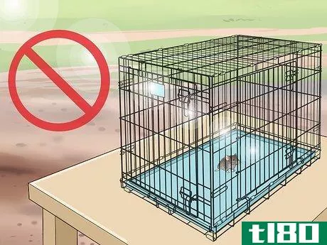 Image titled Keep Pet Mice Safe from Other Pets Step 8