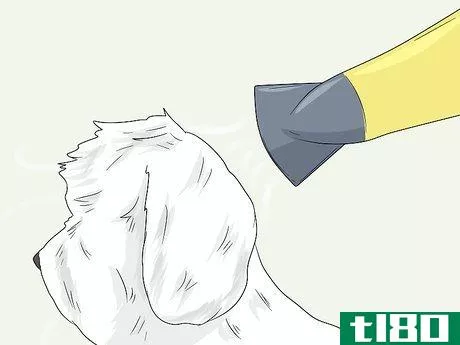 Image titled Groom a Bichon Frise Step 22