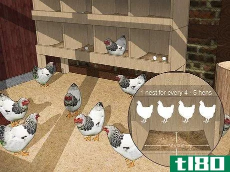 Image titled Keep Chickens from Eating Their Own Eggs Step 1