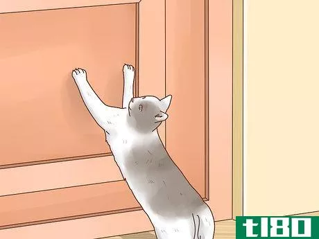 Image titled Keep Cats out of Rooms Step 5