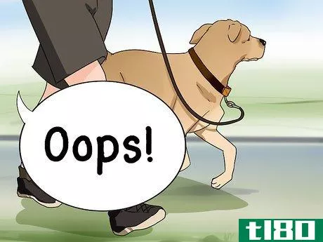 Image titled Improve Your Dog's Show Ring Gait Step 12