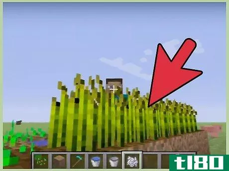 Image titled Grow Wheat in Minecraft Step 9
