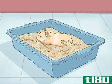 Image titled Give Your Hamster a Bath Step 4