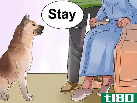 Image titled Keep Elderly Family Safe Around Active Dogs Step 10