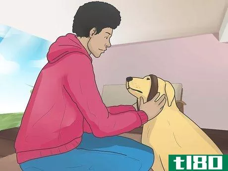 Image titled Introduce a New Dog to Your House and Other Dogs Step 31