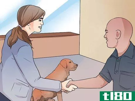 Image titled Get a Therapy Dog Step 2