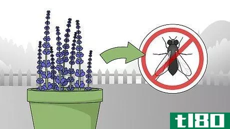 Image titled Get Rid of Flies Outside Step 11