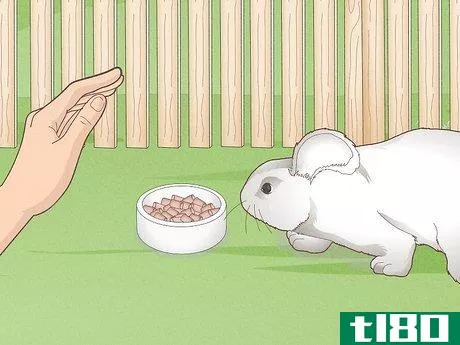 Image titled Have Healthy Relationships with Animals Step 5