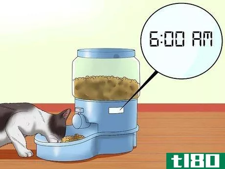 Image titled Help Cats to Sleep at Bedtime Step 3
