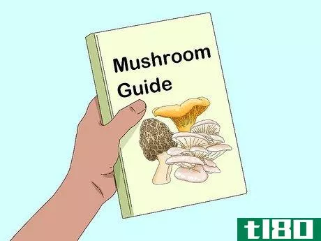 Image titled Identify Edible Mushrooms Step 12
