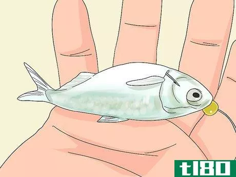 Image titled Kite Fish Step 8