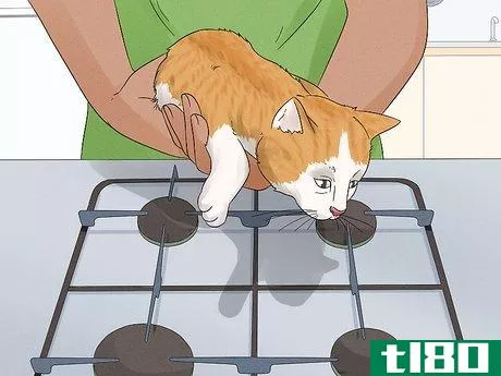 Image titled Keep a Cat Off a Stove Step 5