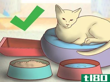 Image titled Include Your Cat in Holiday Celebrations Step 9