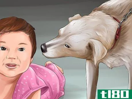 Image titled Introduce a Dog to a New Family Member Step 13