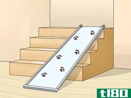 Image titled Help an Old Dog Up the Stairs Step 1