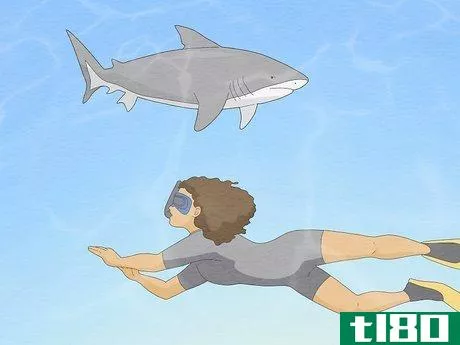 Image titled Get over Your Fear of Sharks Step 21
