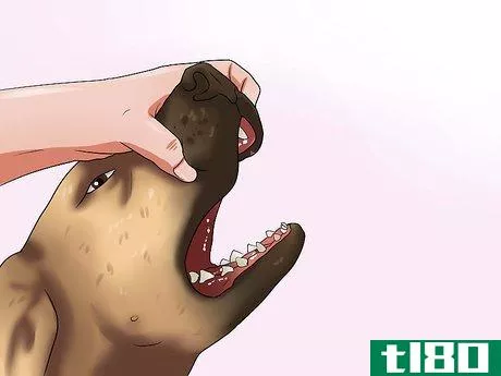Image titled Get Your Dog to Swallow a Pill Step 14