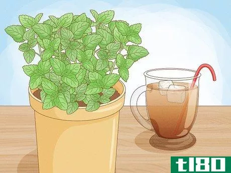 Image titled Grow Mint in a Pot Step 4