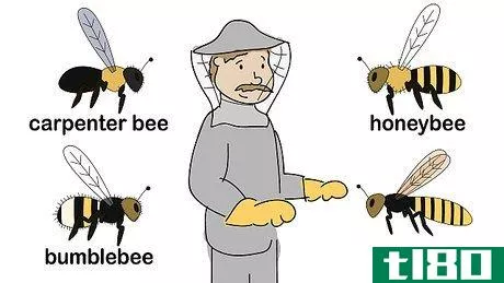 Image titled Get Rid of Bees Step 5