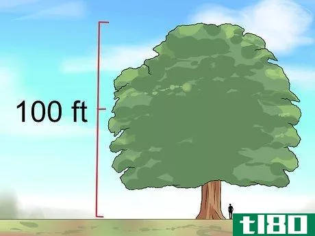 Image titled Identify Oak Trees Step 12