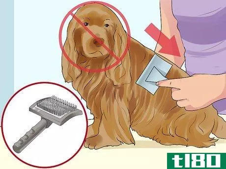 Image titled Groom a Sussex Spaniel Step 2