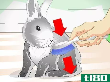 Image titled Keep Pet Rabbits Cool Step 6