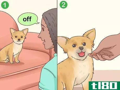 Image titled Keep Pets off the Furniture Step 14