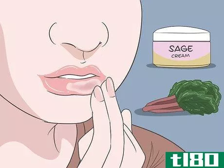 Image titled Get Rid of a Cold Sore with Home Remedies Step 2