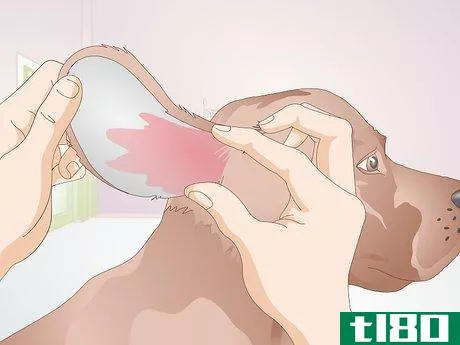 Image titled Identify Canine Ear Mites Step 4