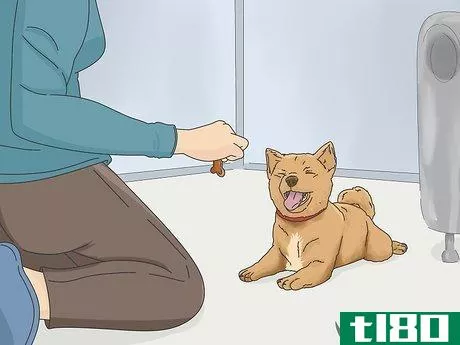Image titled Get a Puppy to Stop Growling when You Pick Them Up Step 1