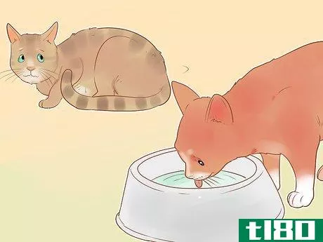 Image titled Know if Your Cat Is Sick Step 5