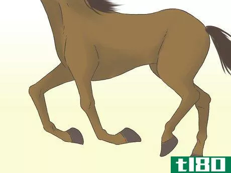 Image titled Get a Horse Fit Step 13