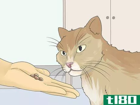 Image titled Help a Cat with Anxiety Step 6