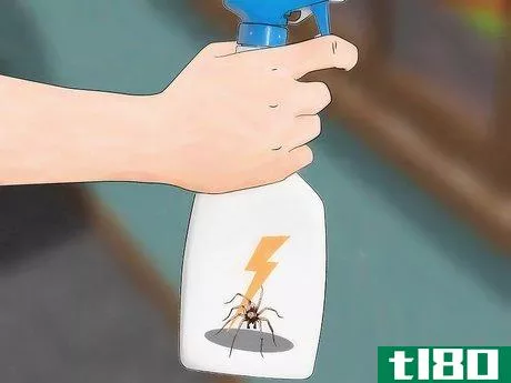 Image titled Get Rid of Wolf Spiders Step 10