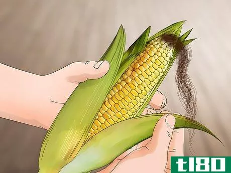 Image titled Harvest Corn Step 6