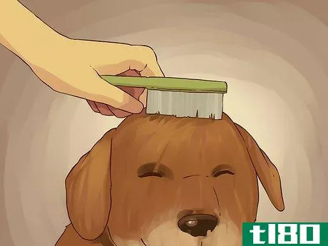 Image titled Give a Small Dog a Bath Step 17